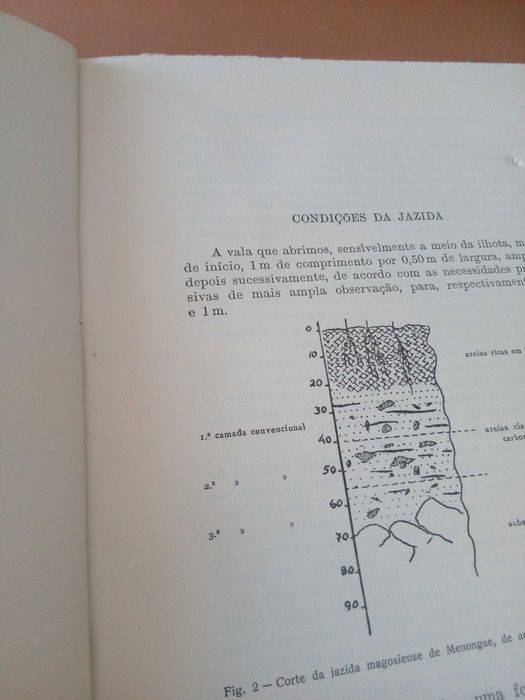 J.Camarate França e António Almeida