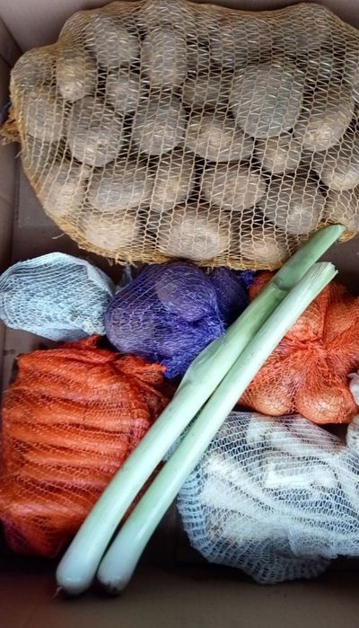 Seler 10 kilo prosto od rolnika wysyłka inpost paczkomat