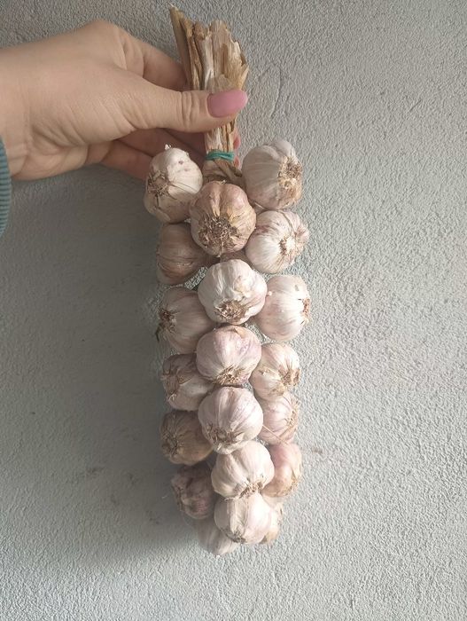 Wianek, warkocz, 100 glowek