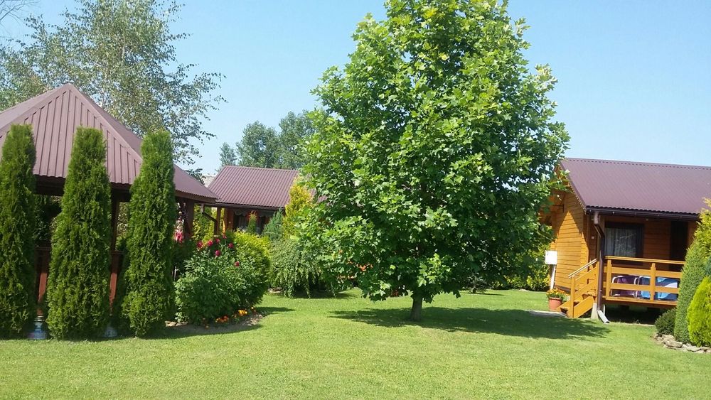 Domki letniskowe nad Soliną
