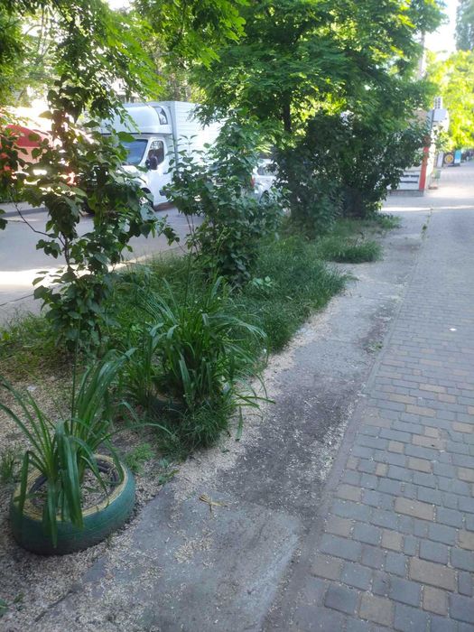 Вывоз мусора уборка участков покос вспашка