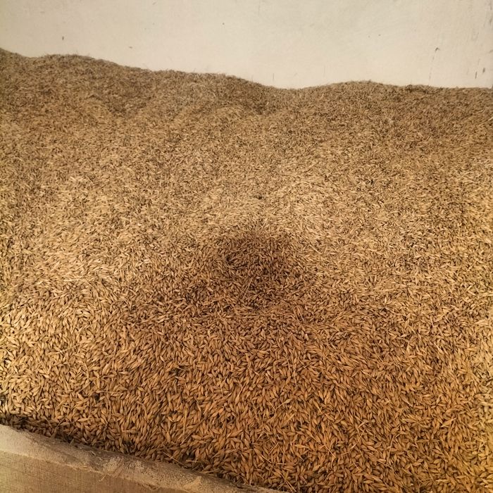 Продам ячмінь...