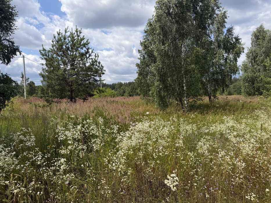 Продаж ділянки в Блиставиці