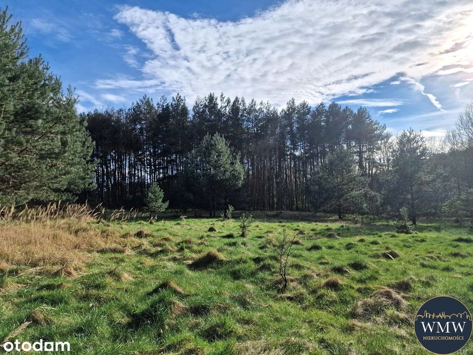 Działki budowlane pod lasem w Łazach