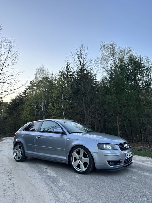 Audi A3 8P 1.9TDI 2004r