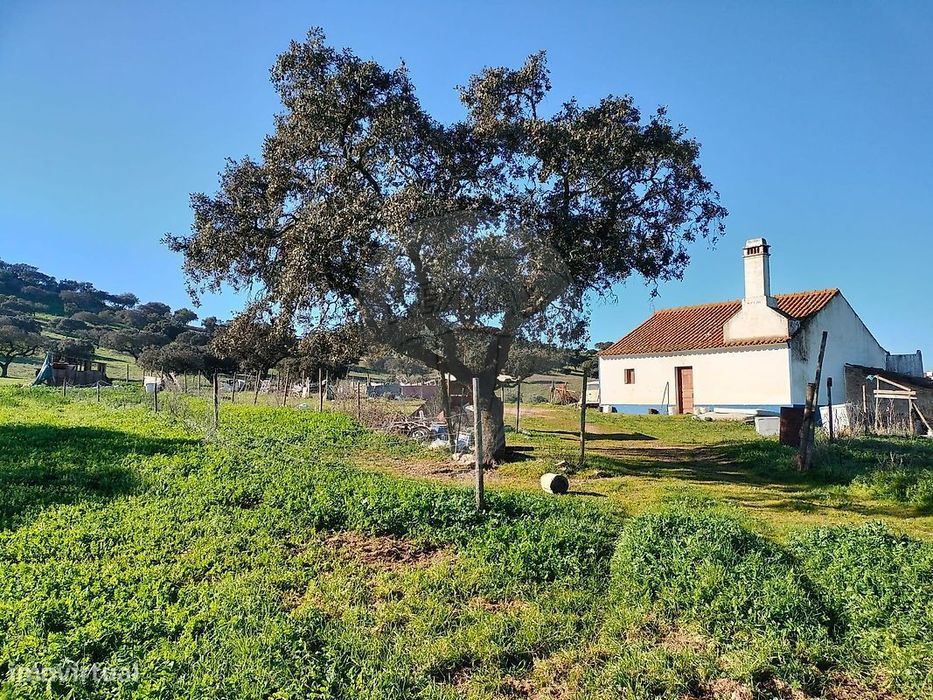 Quinta T3 para venda