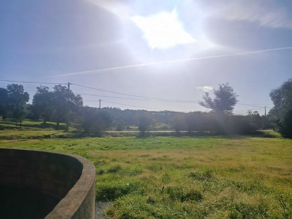 Vendo na Foz Bemposta Quinta 8587 m2 urbano — Pego, Santarém