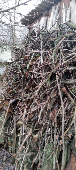 Дрова фруктовых деревьев 2000 грн