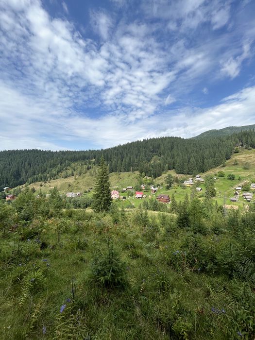 Продається 1.2 гектара з можливістю зміни цільового призначення