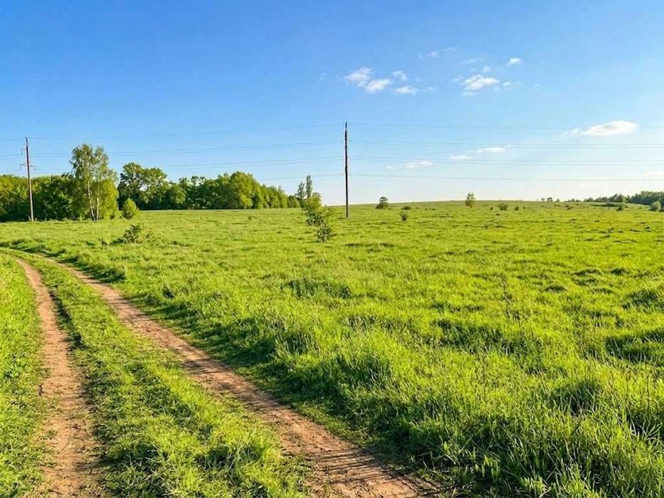 Продаж земельної ділянки 1,5982 га у Мироцькому !