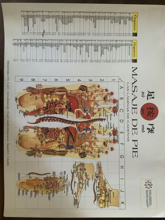 5 x Poster cartazes acunpressão massagem iridiologia reflexologia kundalini chackras etc