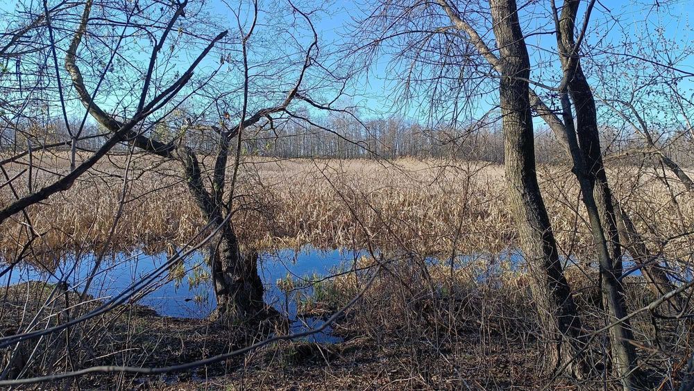 Будинок зі зручностями. Поруч  р. Ворскла 17 Соток. Р-н. Крутий берег