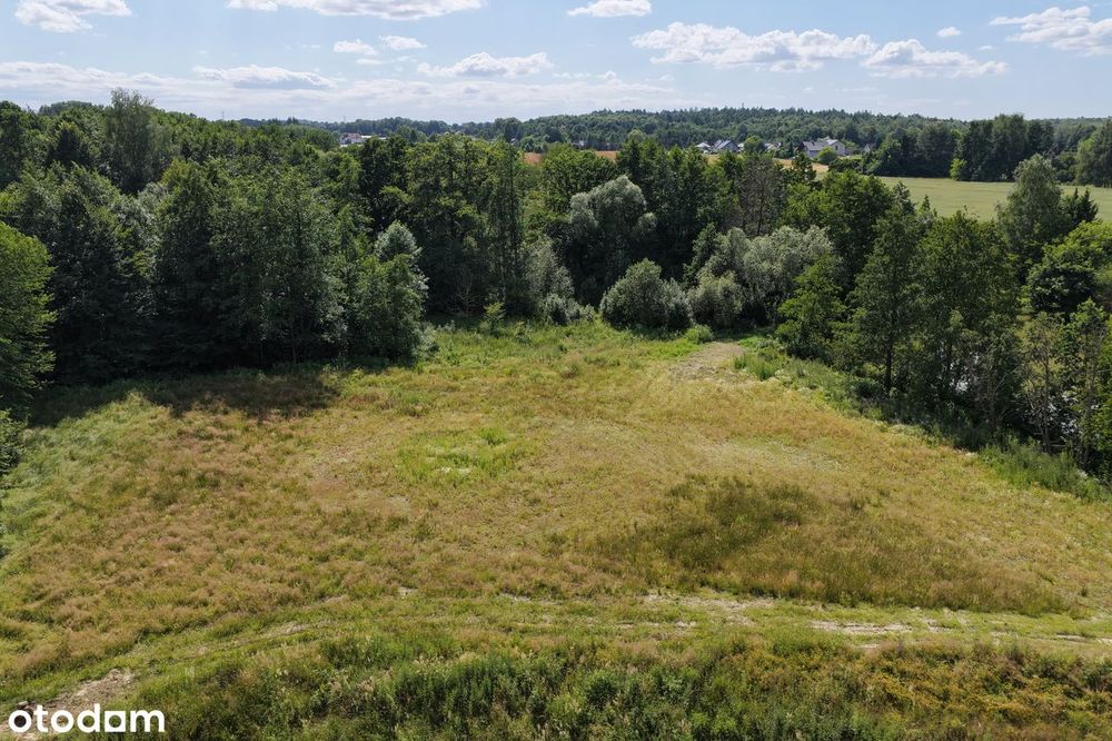Duża działka Budowlana 39a , rzeczka , las , staw , media , Bielsko B - Widok 3
