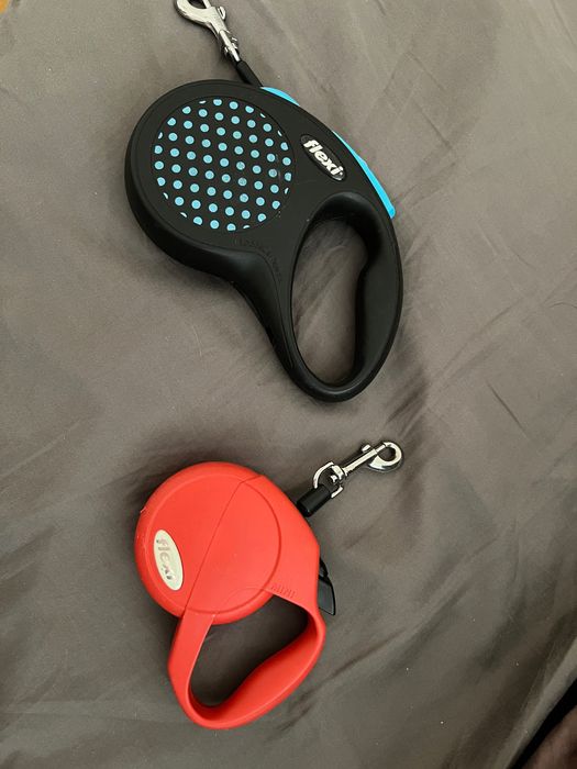 Flexi рулетки, дві рулетки для собак