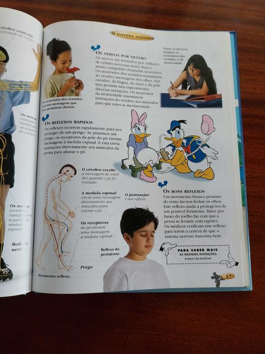O Corpo Humano, livro didático, com personagens da Disney
