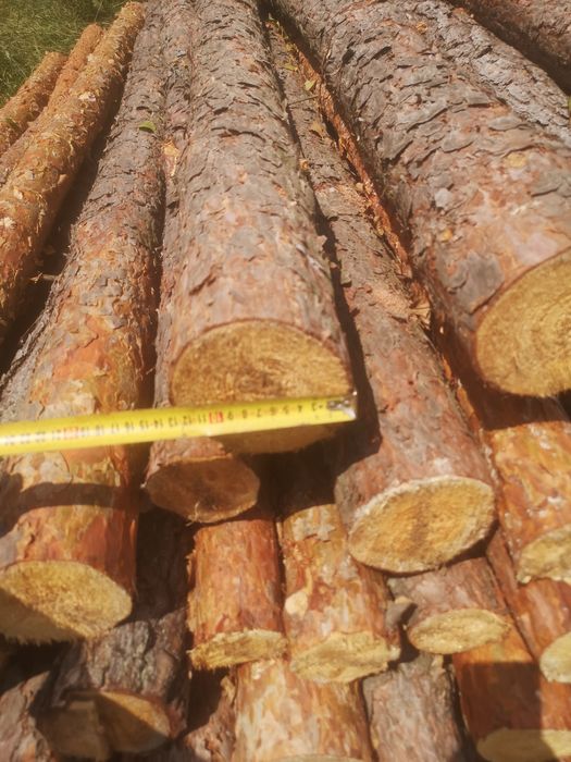 Ogrodzenie budowlane, tymczasowe, lesne