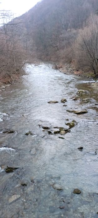 Вовчий Продам земельну ділянку Вовчий Закарпаття