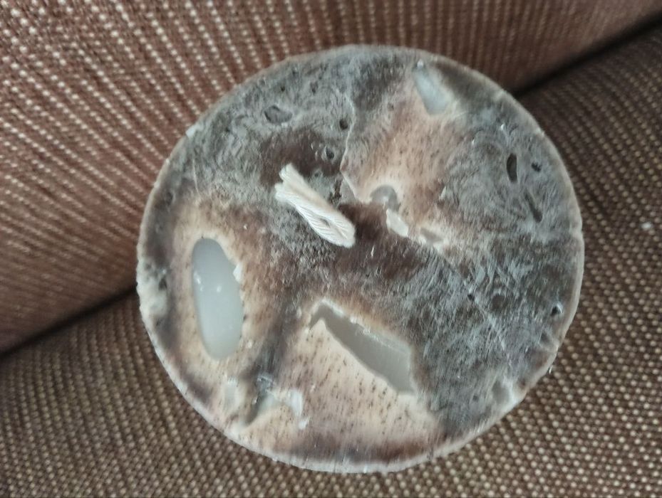 Свічки ручної роботи "Кава"