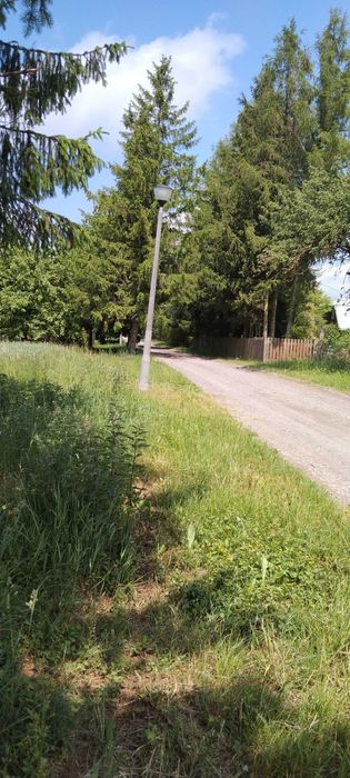 Działka na sprzedaż z WZ - Sitaniec Kolonia - View 2