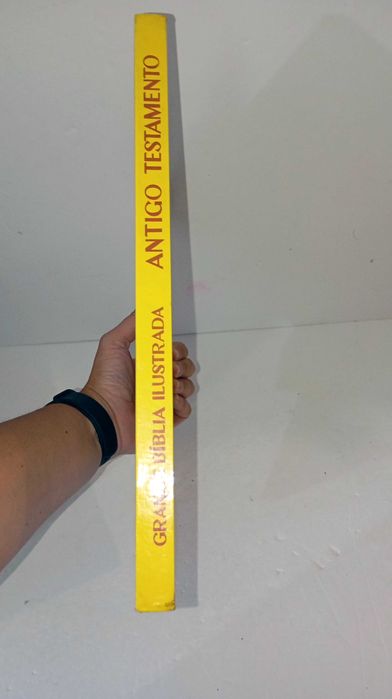 Grande Bíblia Ilustrada - Antigo Testamento