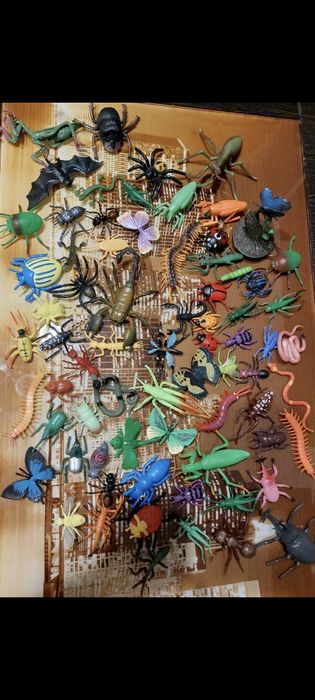 Развивающиц  набор   насекомых   .