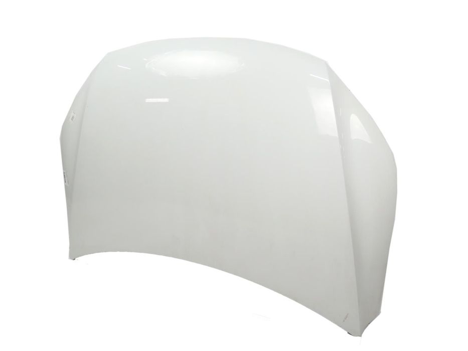 Capot Usado / Original Vw Tiguan (5N_) 5N0823031D