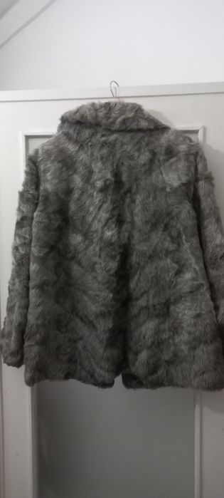 Oportunidade,  Casaco peles cinza