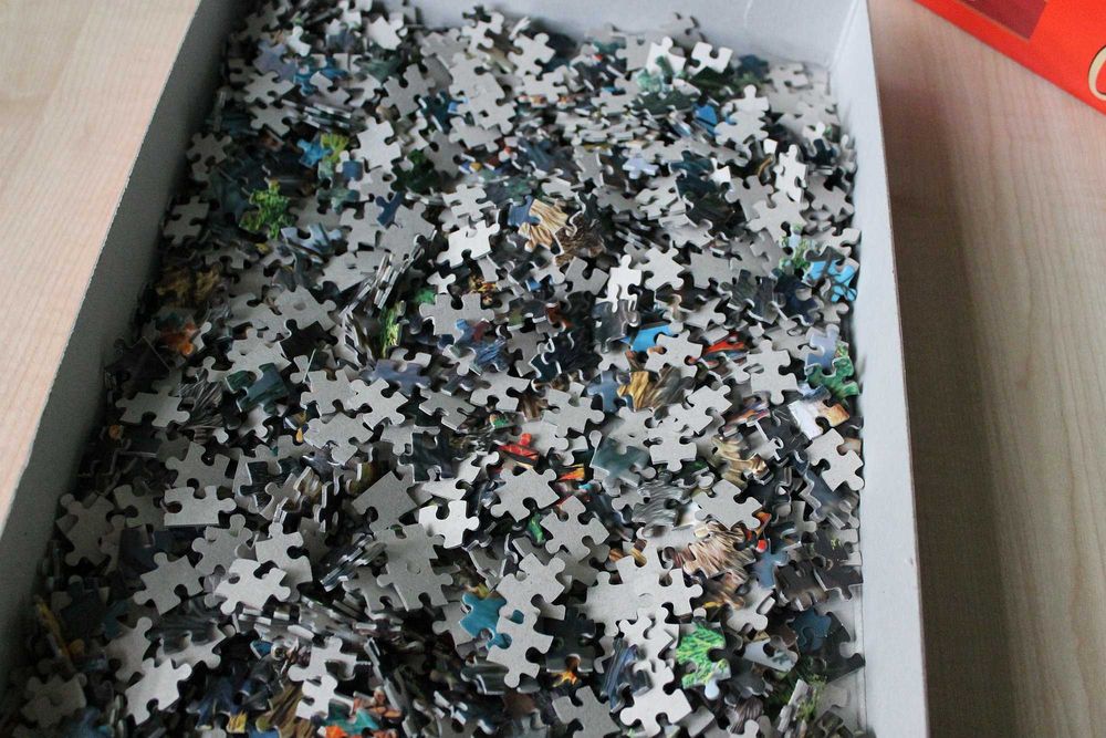 puzzle 1500 CASTORLAND wilk w lesie wolf in the wild 100% komplet