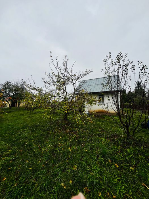 Działka ROD , 420 m , ogrody działkowe Borówka - Widok 4
