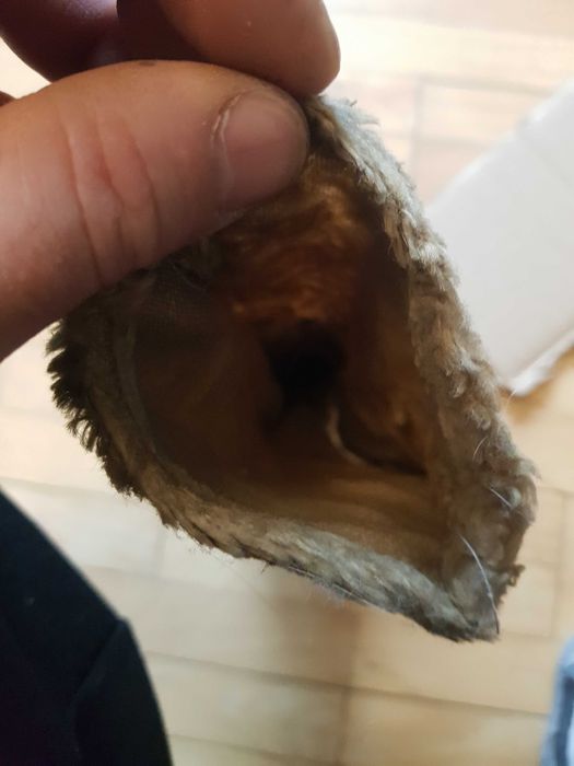 stara pacynka lalka Mis loft unikat rare