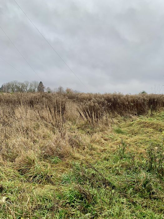 $ Пррдаж. Земельна ділянка с Антопіль (10 сот)