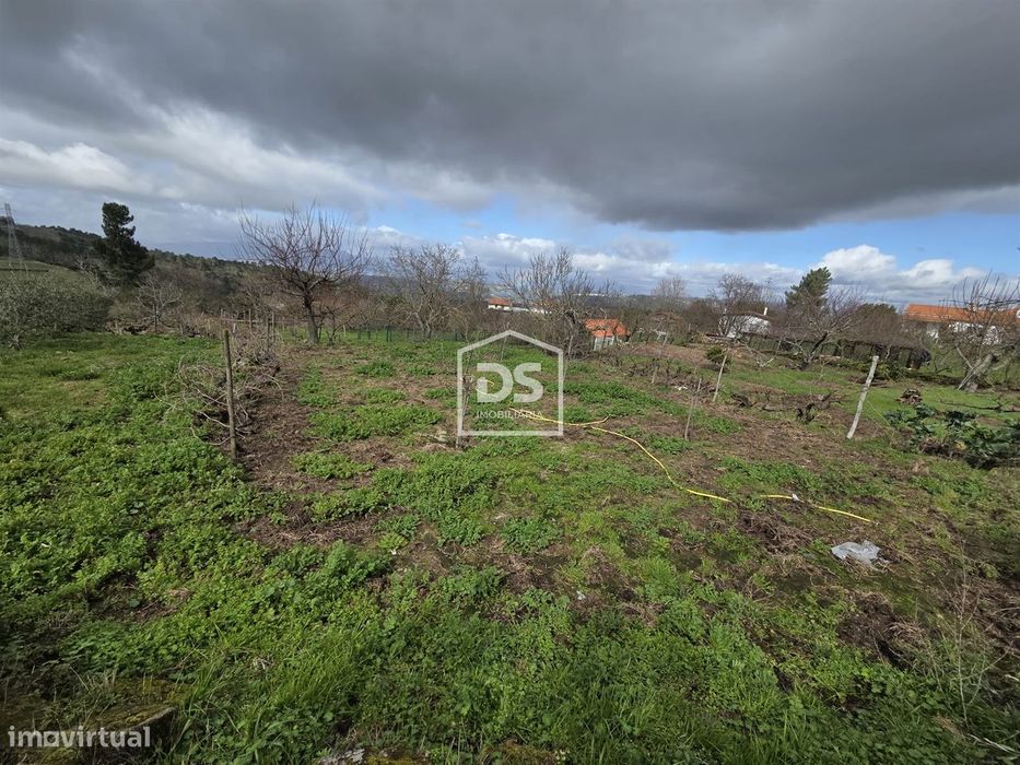 Terreno  Venda em Armamar,Armamar