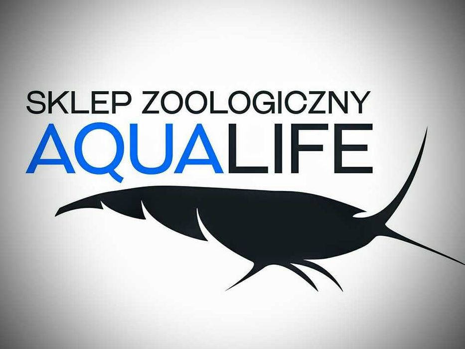 Krewetki Galaxy Fishbone Red Aqualife Sklep Zoologiczny