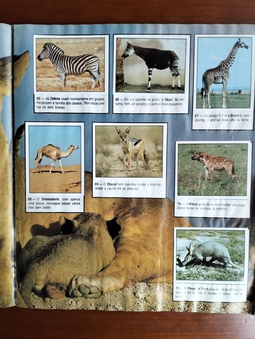 Caderneta Animals of the World' Panini