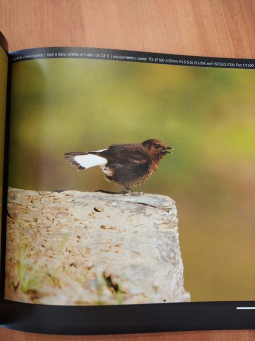 Livro "A paixão pelas aves desde Trás-os-Montes" (2015)