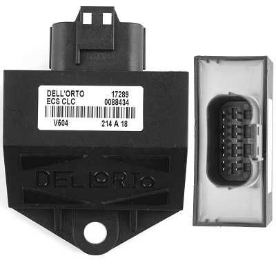 Silnik SKUTER ECU - Dellorto  - ODBLOKOWANY -  MIX