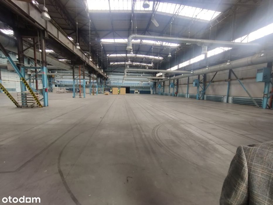 Hala ogrzewana na wynajem 3000m2; 6000m; 9000m2