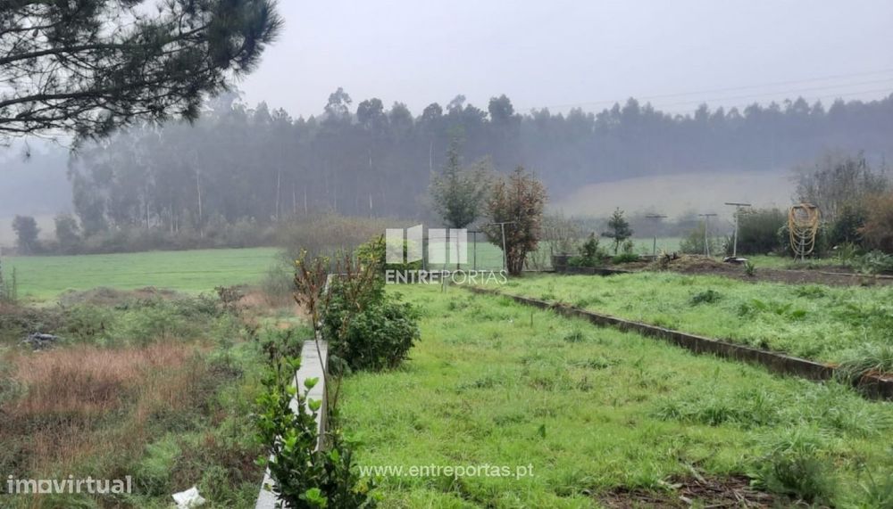Venda de Terreno com 20000 m2, Macieira da Maia, Vila do Conde