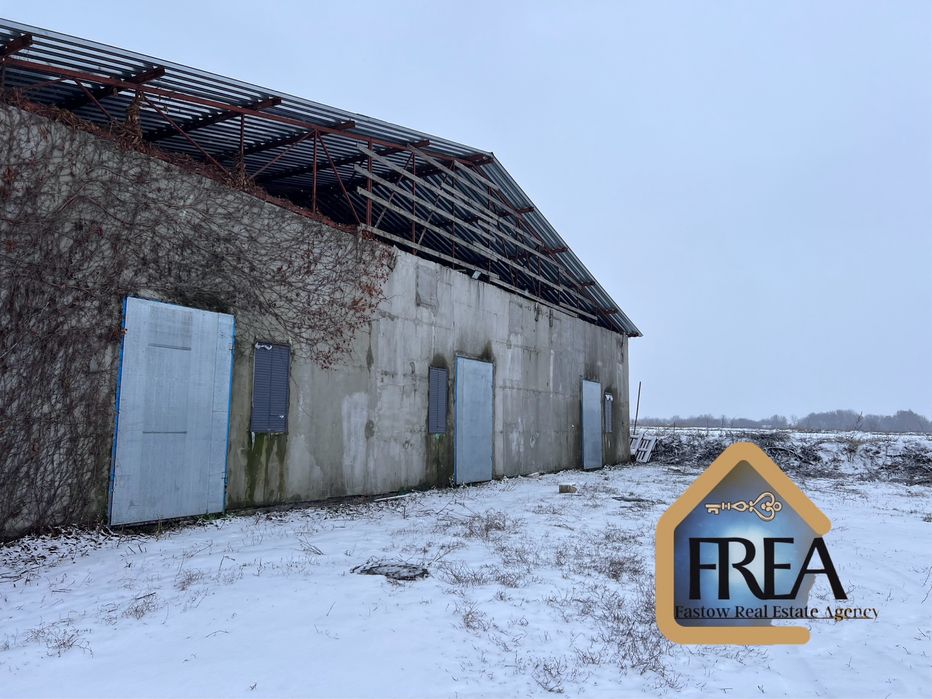 Продам готовий бізнес на Киівщині. Вирощування печериць.