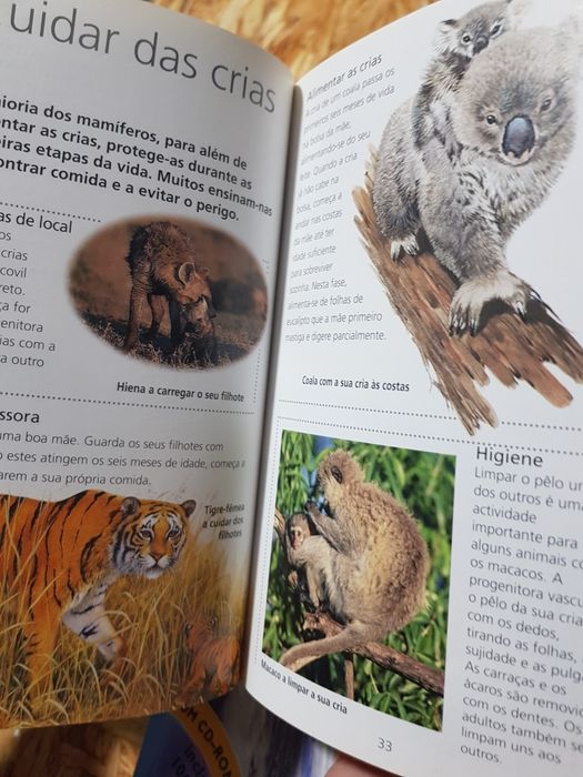 Enciclopédia Do Universo mini