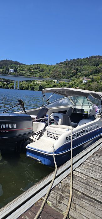 Barco  Campion 5 metros
