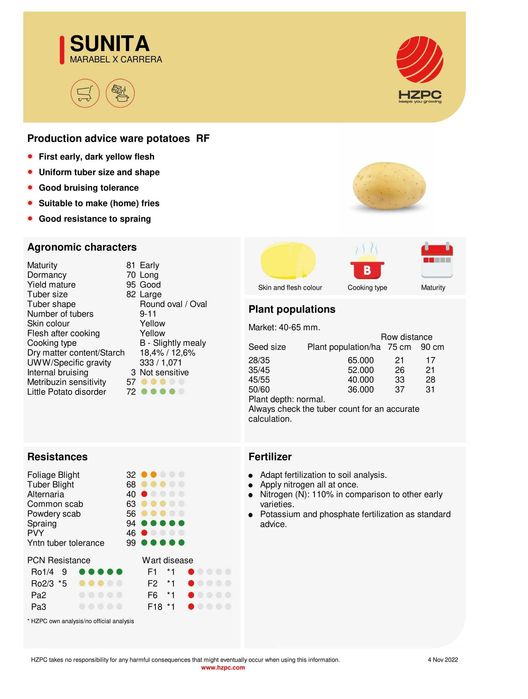 Ziemniak Sadzeniaki SUNITA - Królowa Ziemniaka - Wczesne Ziemniaki