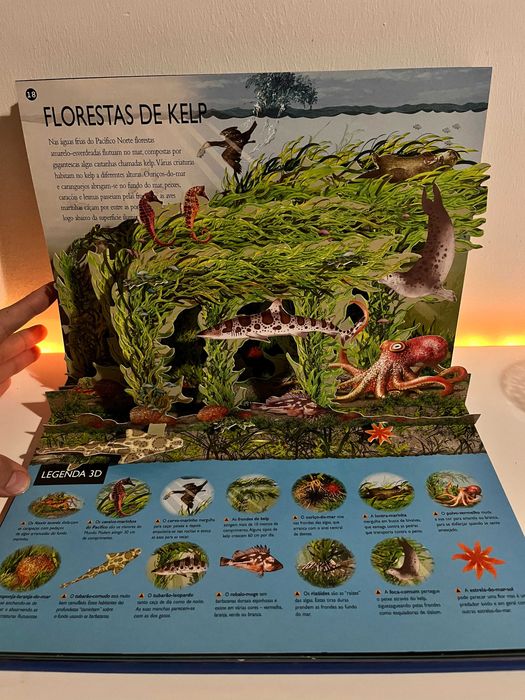 Livro Explorador 3D - Oceanos64873962982017123