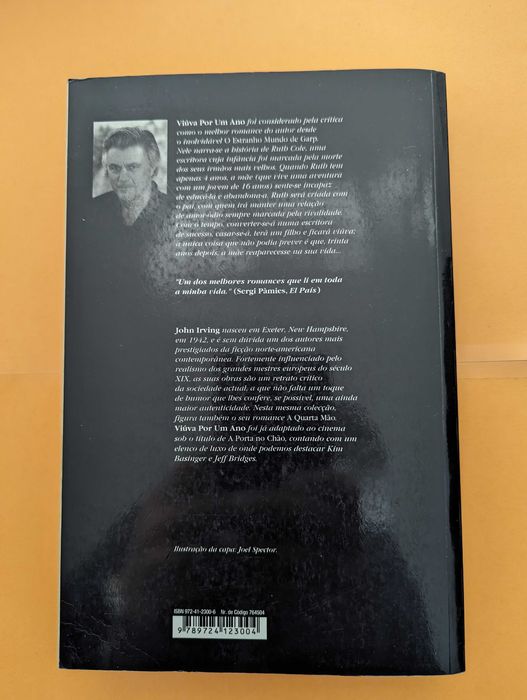 Viúva por um Ano - John Irving