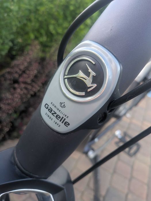 Rower Gazelle limited edition