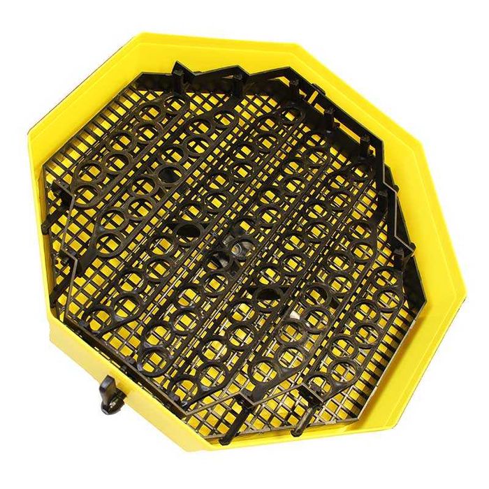 Inkubator, wylęgarka klujnik CLEO 5, półautomat 41 jaj - 60 jaj