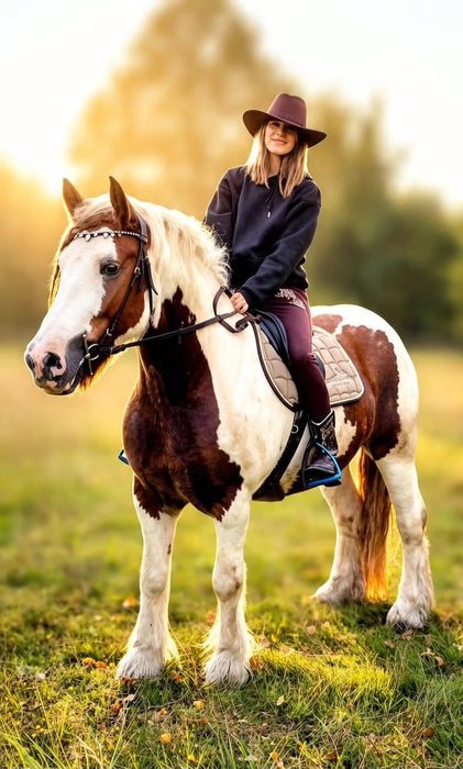Klacz rasy irish cob 6 lat, zajeżdżona, wysoka 155cm