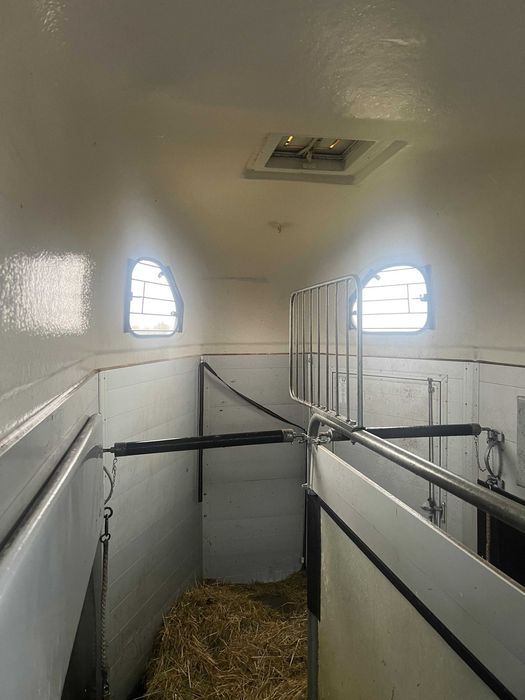 CHEVAL LIBERTE gold pullman v2 2 konna