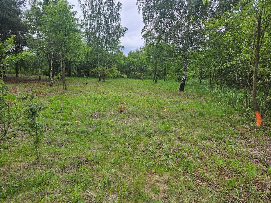 Gołków sprzedam dzialkę inwestycyjną - Widok 2