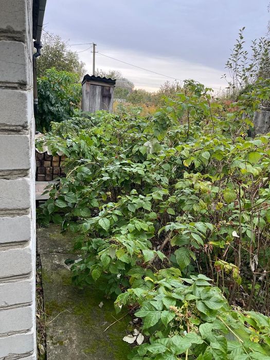 Дача з будиночком (на ветерані)